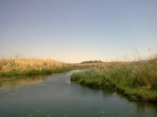 Azraq Wetland Reserve